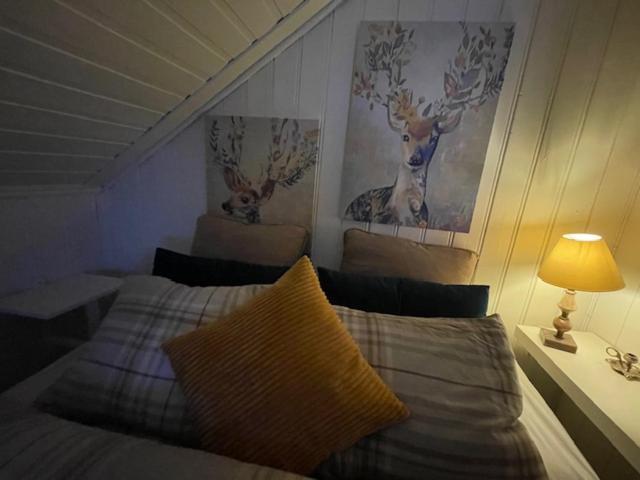 Casa Steinbekken, Rom Inkl Morgenkaffe For Par Og Kvinner Med Felles Toalett * Eidsvoll